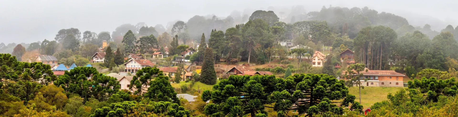 Imagem principal do pacote Monte Verde